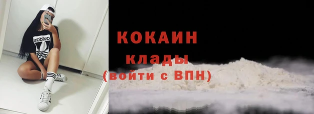 ПСИЛОЦИБИНОВЫЕ ГРИБЫ Покровск